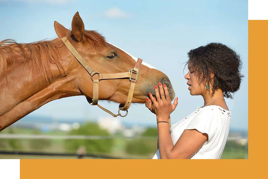 Frau spricht mit Pferd