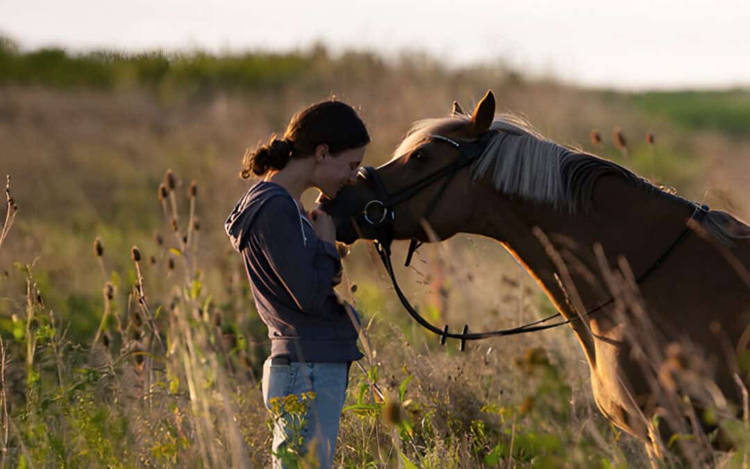 Führen in Unsicherheit: Innere Haltung und Pferdecoaching für mehr Selbstvertrauen