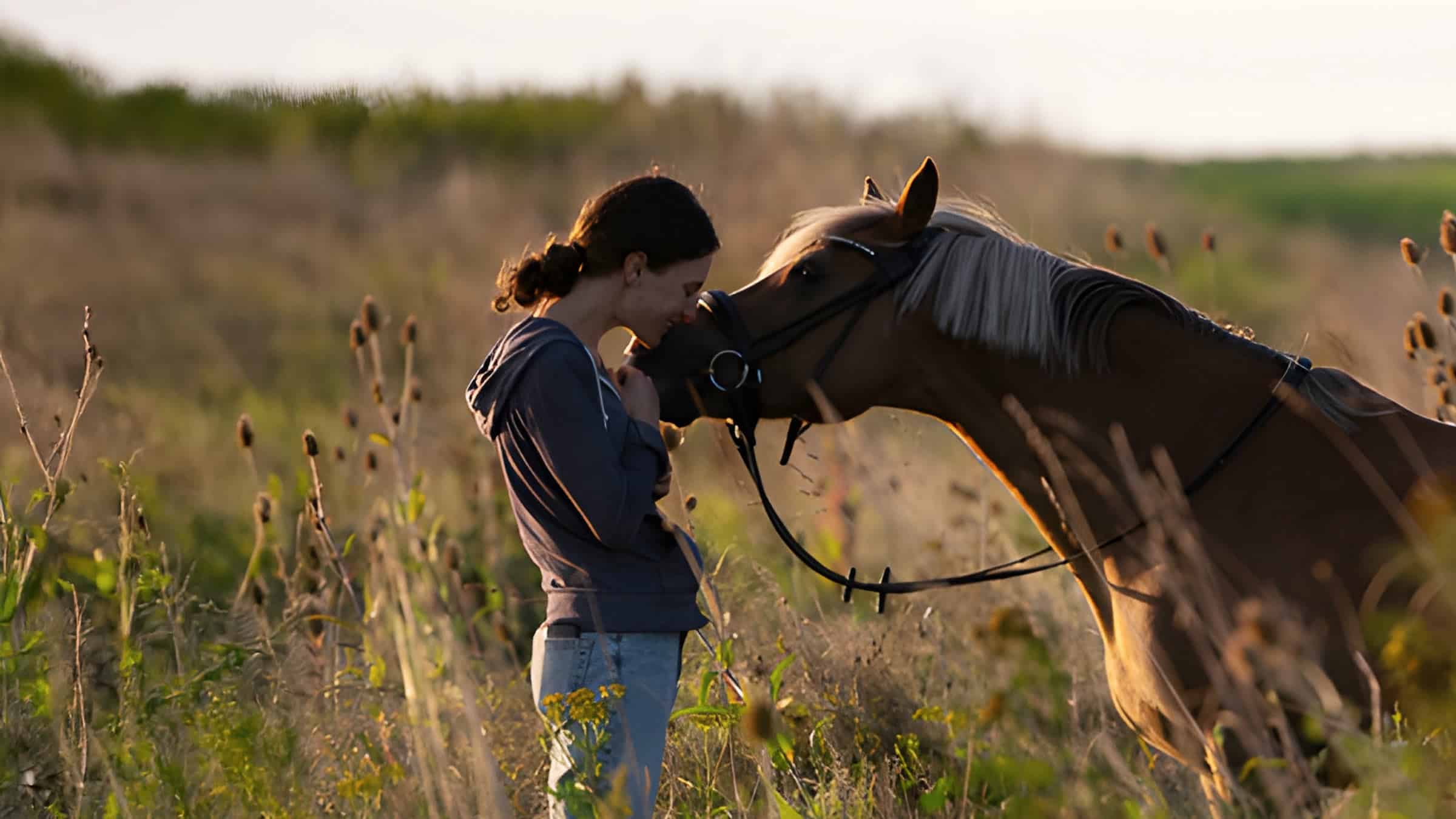 Pferdecoaching zur Stärkung der inneren Haltung und Führungskompetenz in unsicheren Zeiten.