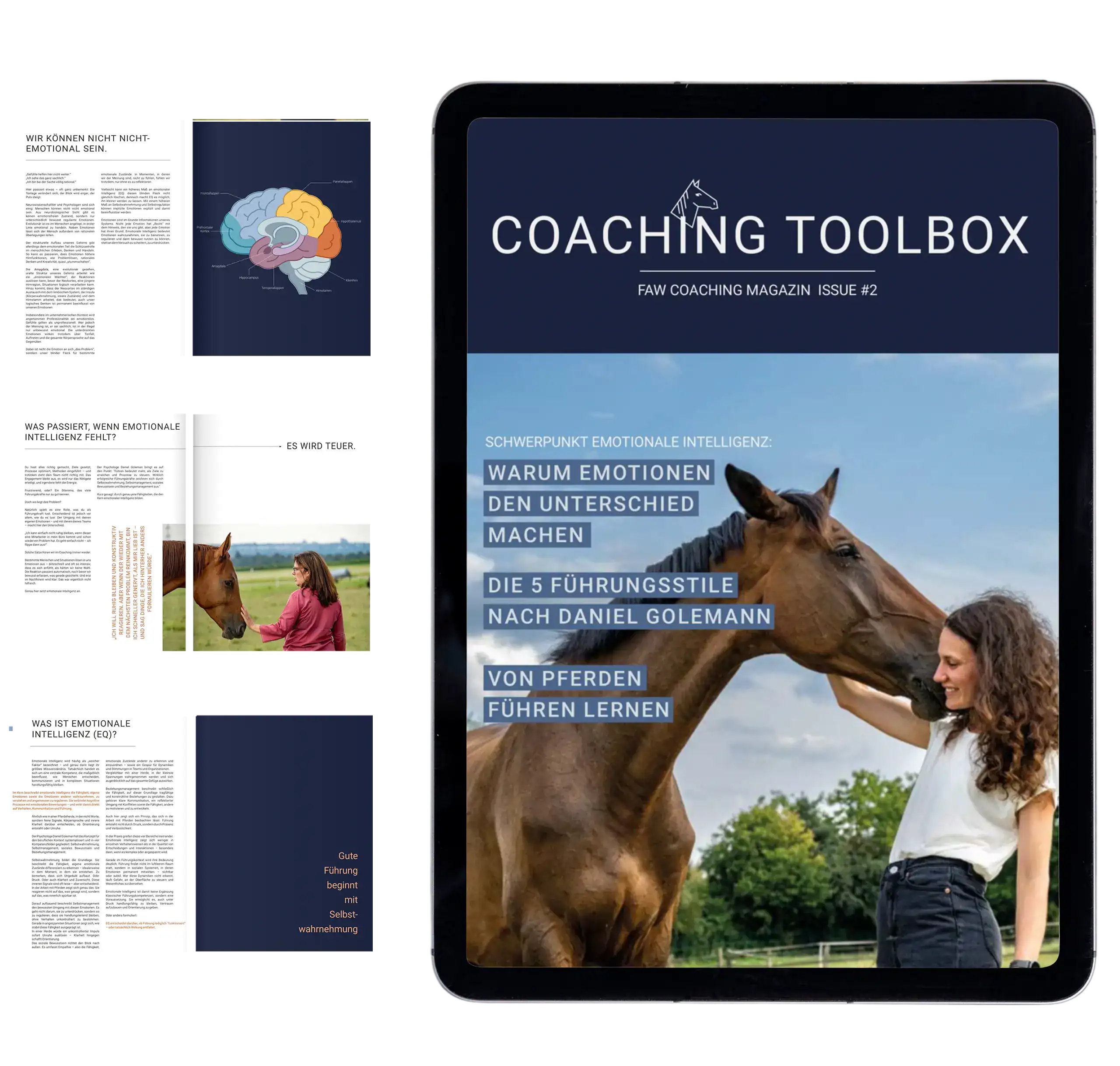 Vorschau E-Book - Die ultitmative Roadmap zum selbstorganisierten Team